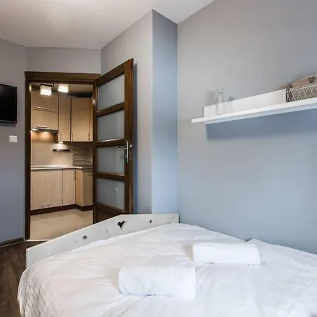 Apartament Swierkowy Potok Odkryj Zakopane Exterior photo